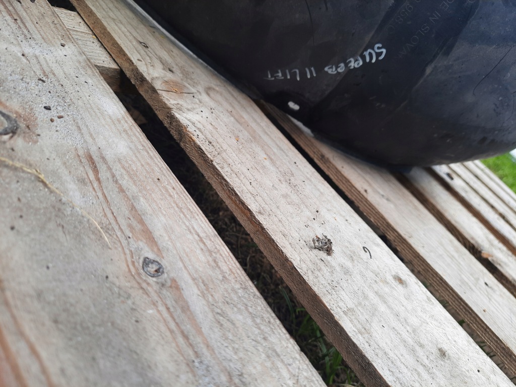 фото №1, Skoda superb ii lift 2013-15 підкрилок перед передні праве