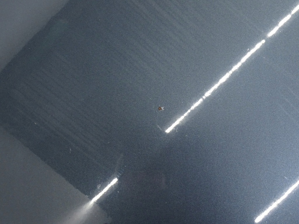 фото №8, Капот кришка перед передня двигуна vw passat cc 3c8 lift 12-16r lk7x