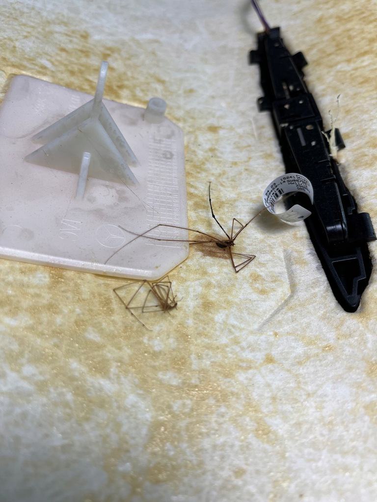 фото №13, Mercedes gla x156 w156 потолок amg