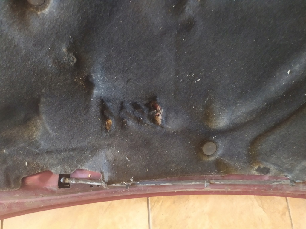 фото №10, Капот ford focus mk1 2.0b 98'