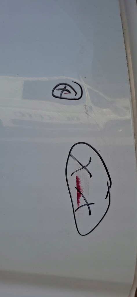 фото №10, Dacia logan kombi mcv ii 2012- дверь правый задняя