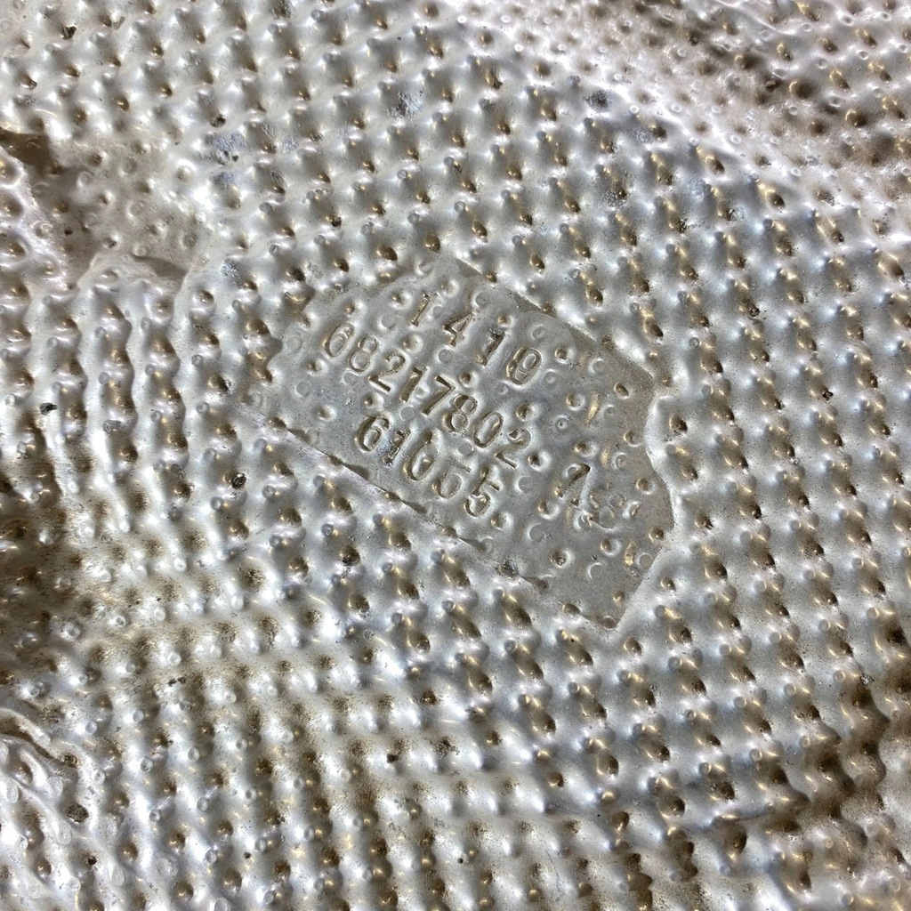 фото №8, Dodge charger 2019 захист