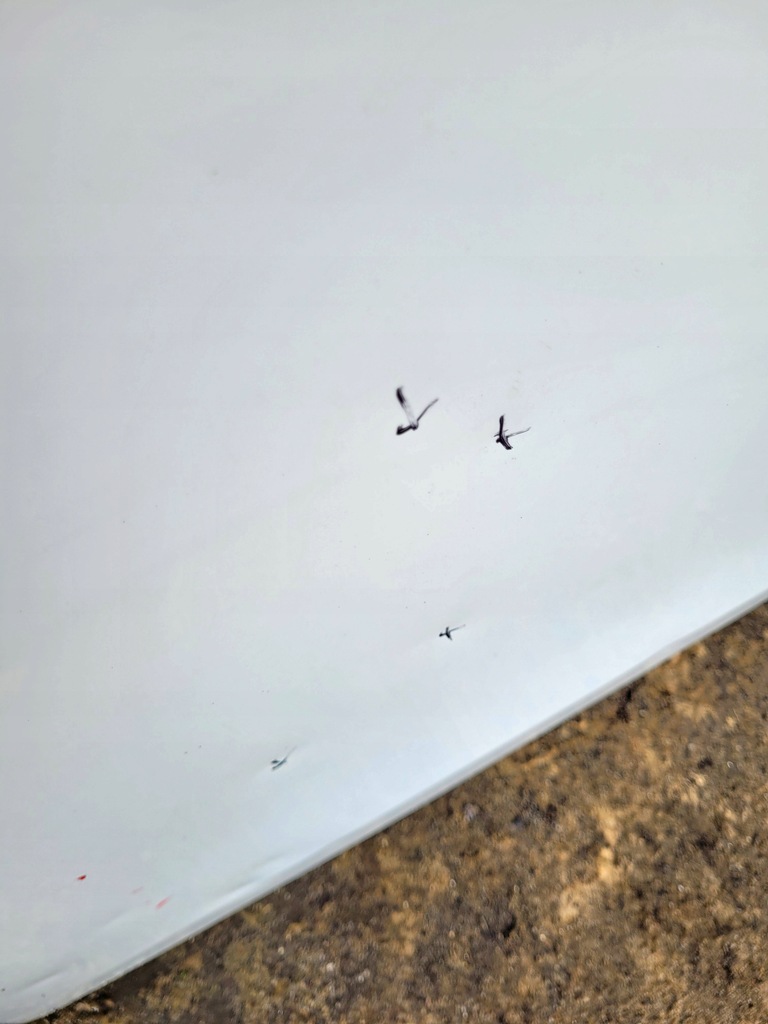 фото №8, Капот renault clio 4 2012-2019