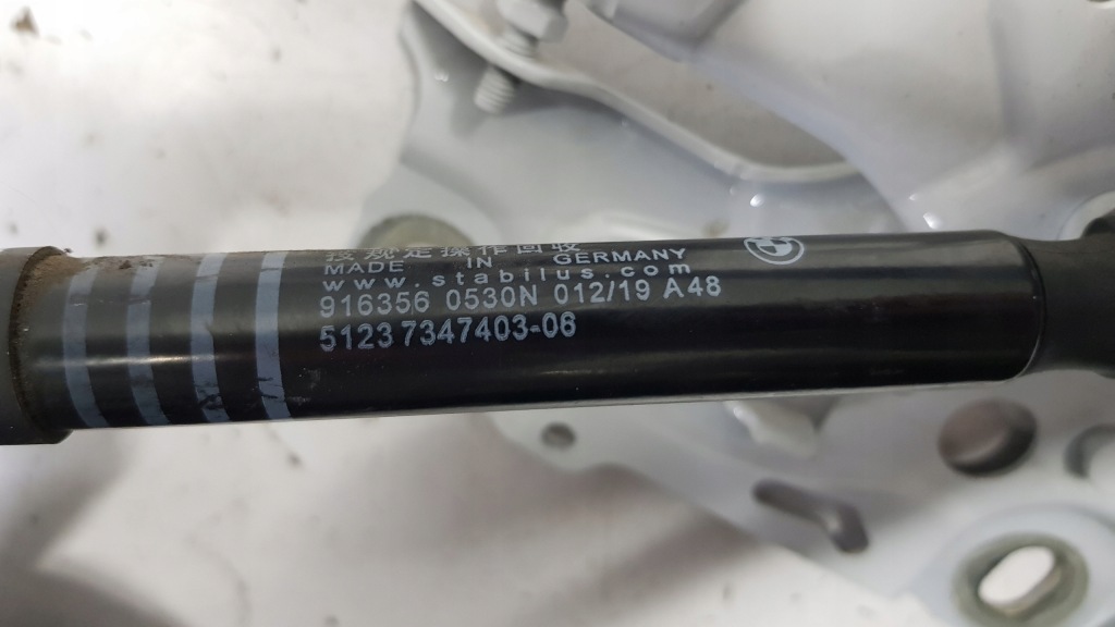 фото №12, Петлі капот bmw 7 g11 a96