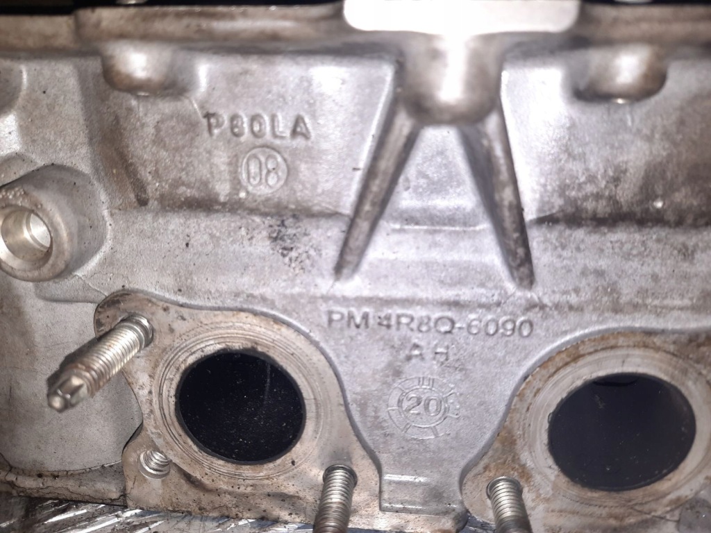 Peugeot 407 головка двигуна 2.7 hdi дизель 150kw 204 hp 4r8q-6090-ah 2007 Зі Шроту