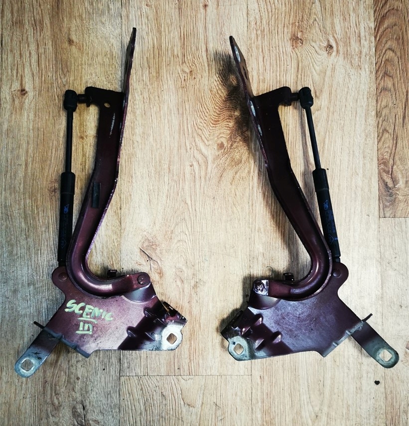 фото №1, Renault scenic iii петля петли капот 2 штуки