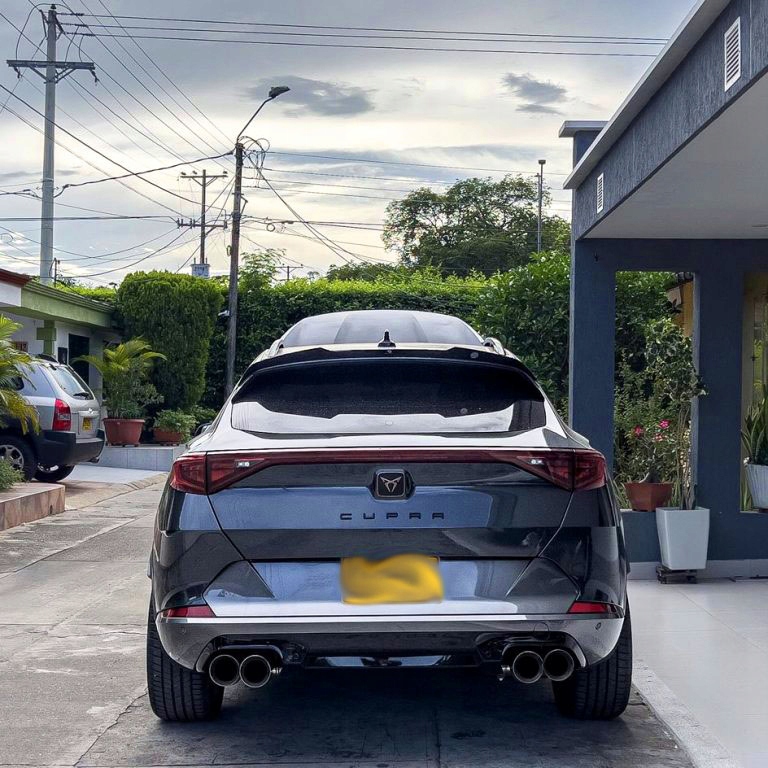 фото №10, Cupra formentor заглушка отвір двірники задній скло заглушка кришка