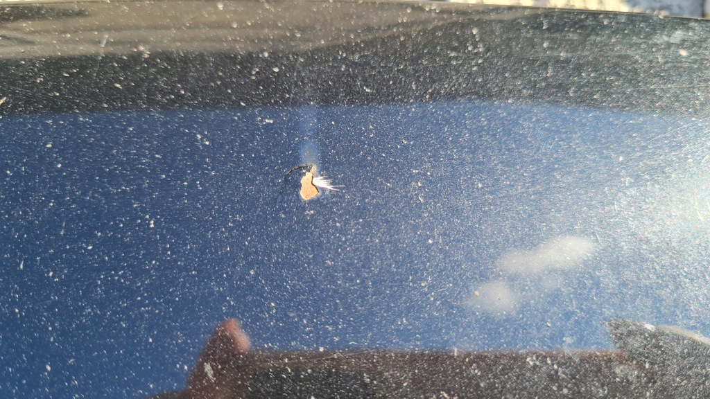 фото №4, Vw passat b6 2009 капот