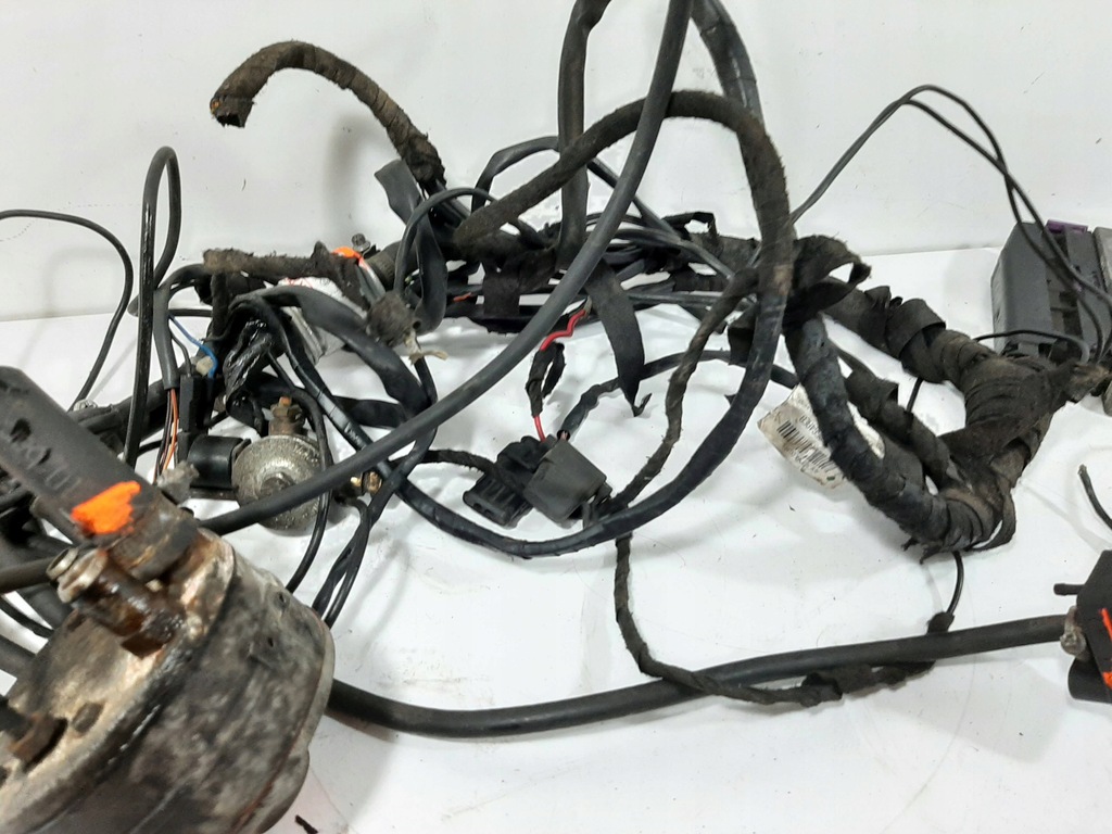 фото №9, Електропроводка газова lpg zavoli alisei direct 4-cyl блок керування 67r-016032 kpl