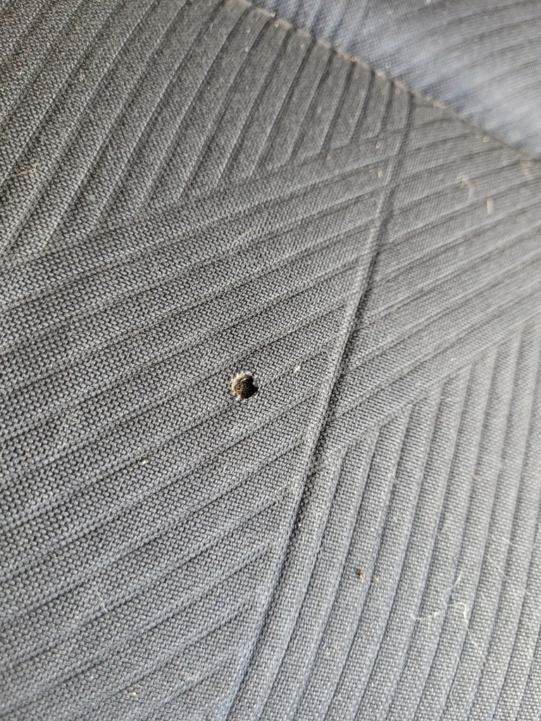 фото №6, Сидіння водія renault trafic iv 4 europa