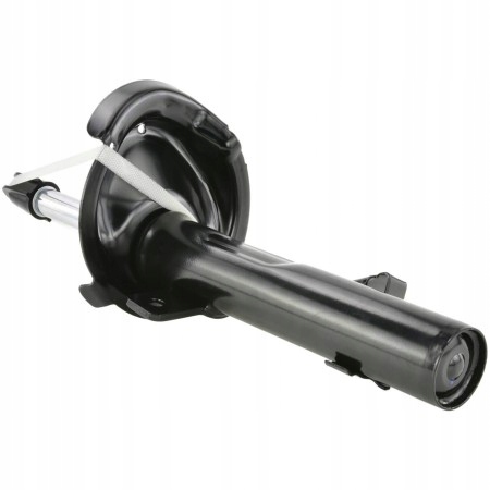 фото №1, Амортизатор febest 21665159fr