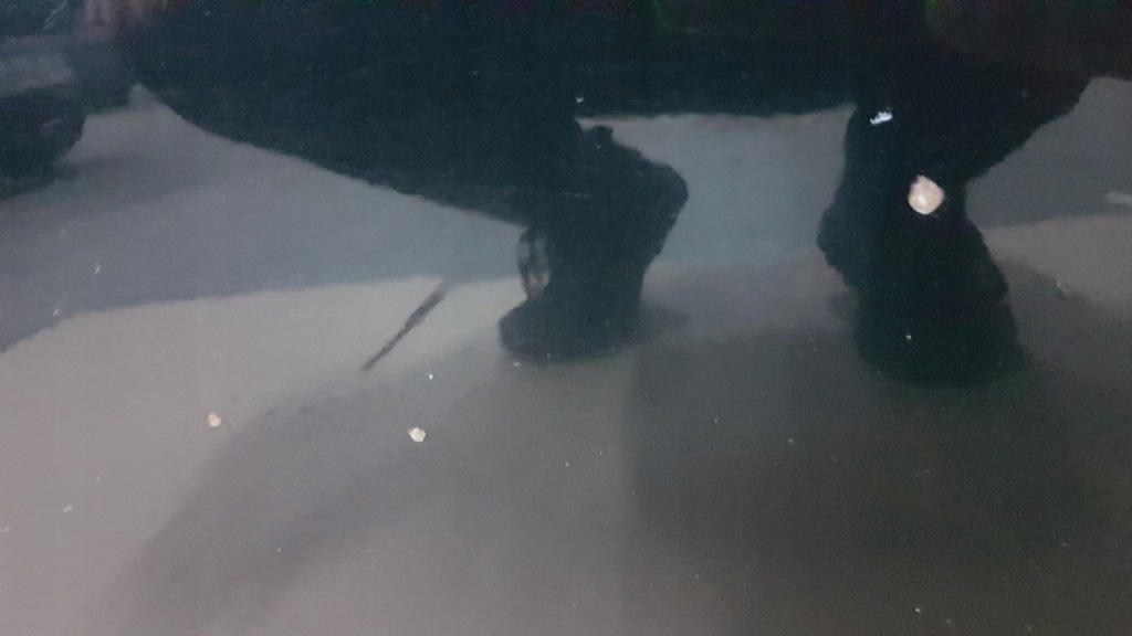 Купить Дверь перед левое skoda octavia 3 5e оригинал!!