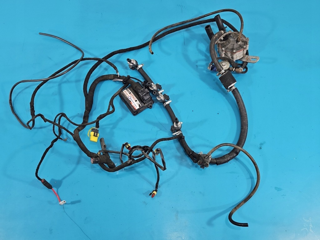 Купить Электропроводка lpg газа stag 4 qbox basic