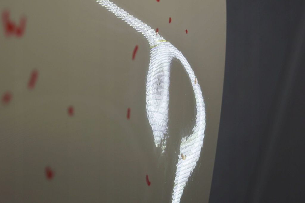 Дверь правый  задняя mini cooper r55 d1649 Доставка