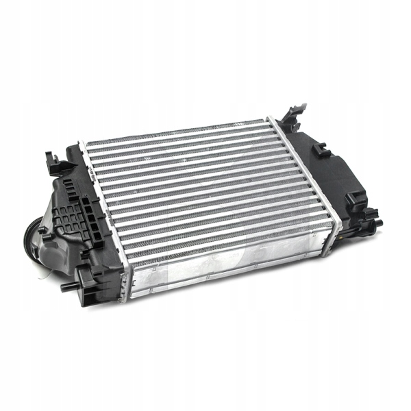 Інтеркулер nissan qashqai 1,6 dci 13- x-trail 1,6dci 13- Доставка