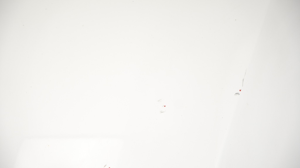 Купить Капот крышка двигателя audi a5 купе 07-11r ly9c