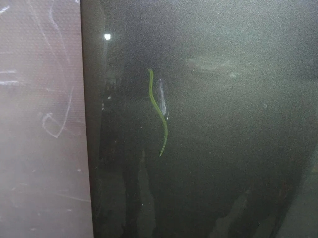 фото №3, Капот mercedes cls c219 c963 963