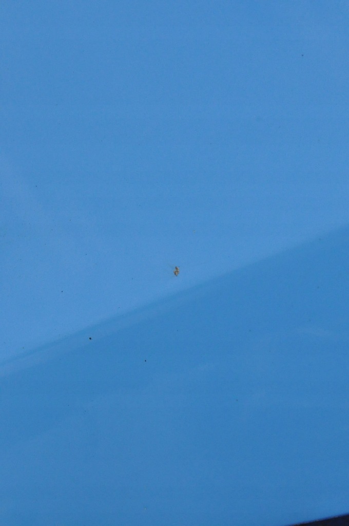 фото №12, Volvo v40 ii дверь левый задняя задние