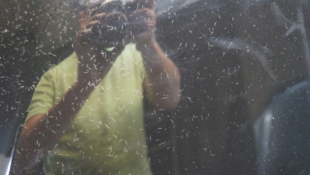 фото №13, Капот крышка перед alfa romeo brera