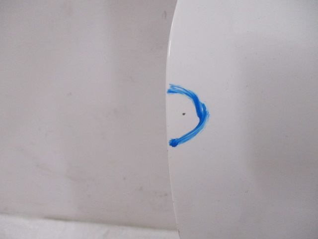 фото №4, Citroen c3 iii дверь правое задние ewpb