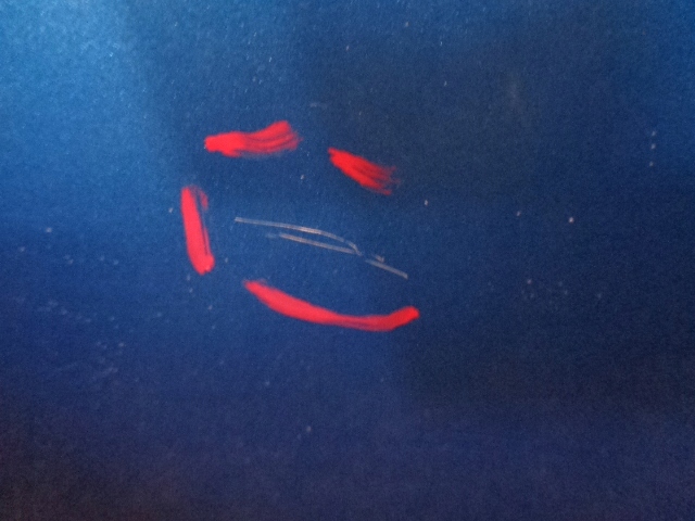 фото №7, Citroen c3 ii дверь левая задние kwgd