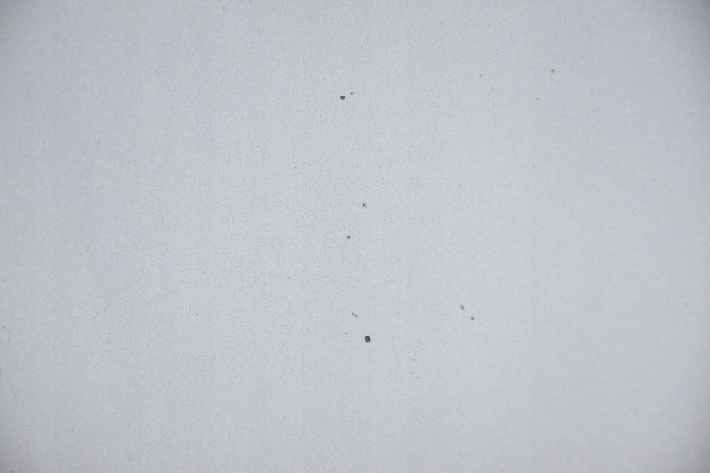 фото №9, Капот кришка двигуна audi a3 ii 8p малий решітка радіатора