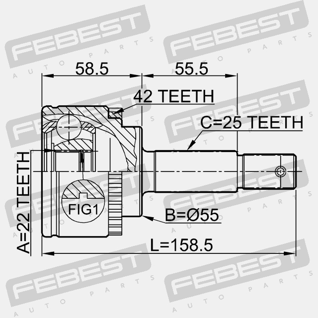 фото №5, Шарнир наружный 22x55x25 febest 0210-n16a42
