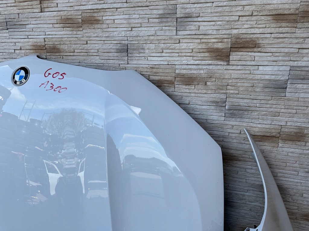 фото №13, Капот крылья бампер лампа pas радиатор радар bmw x6 g06 lci lift a300