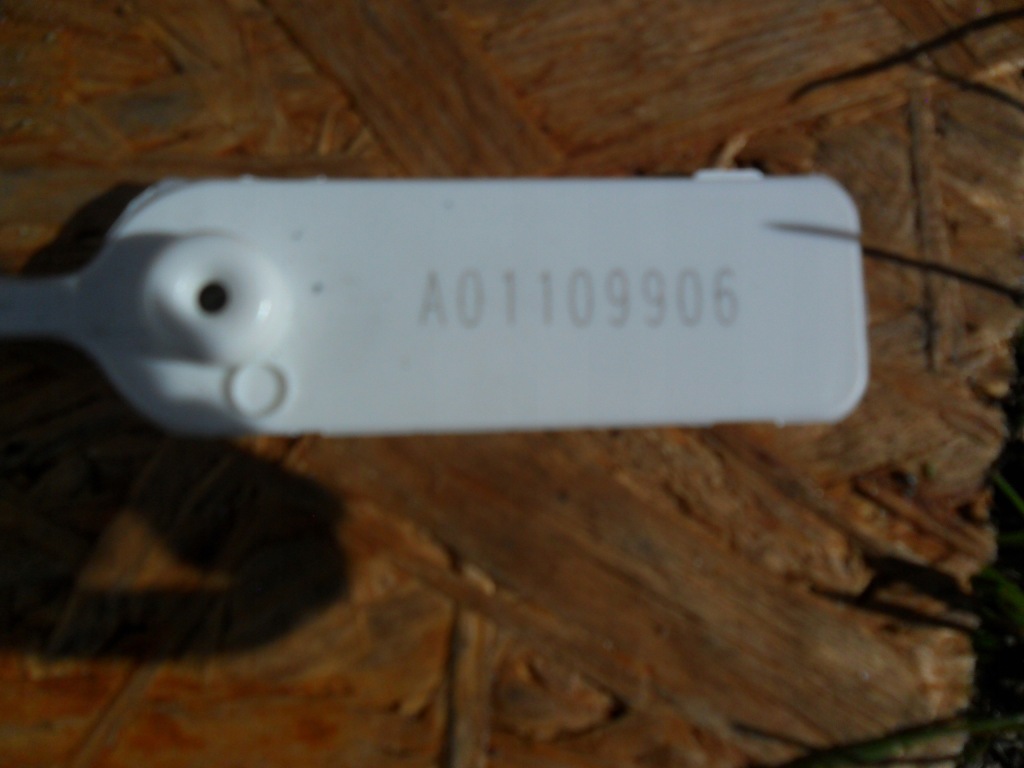 фото №16, Бампер перед передній оригінал 71101-tnyy-zz02 honda cr-v v 2018-