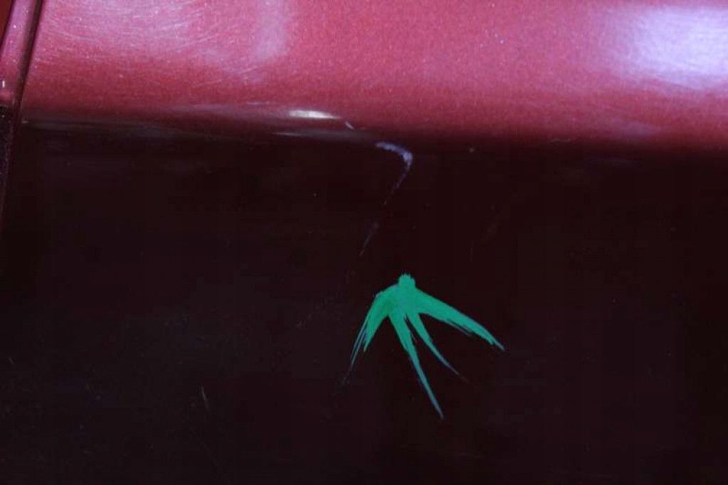 фото №6, Дверь левая задняя задние 69z subaru outback 4 iv 09-12