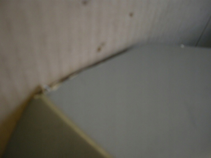 фото №4, Renault avantime кришка багажника