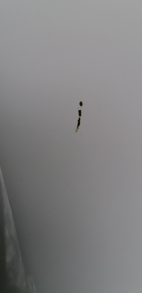 фото №10, Ford transit connect mk2 tourneo крыло правый перед 13r-