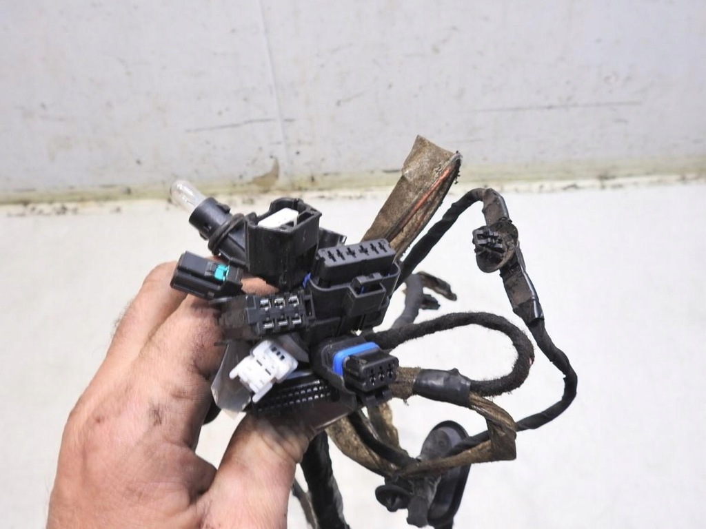 фото №3, Жгут электропроводка дверь правый перед renault latitude