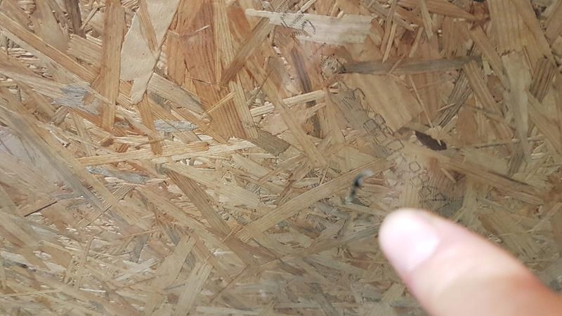 Стекло лобовое передняя mini cooper f56 6769700 в Украине