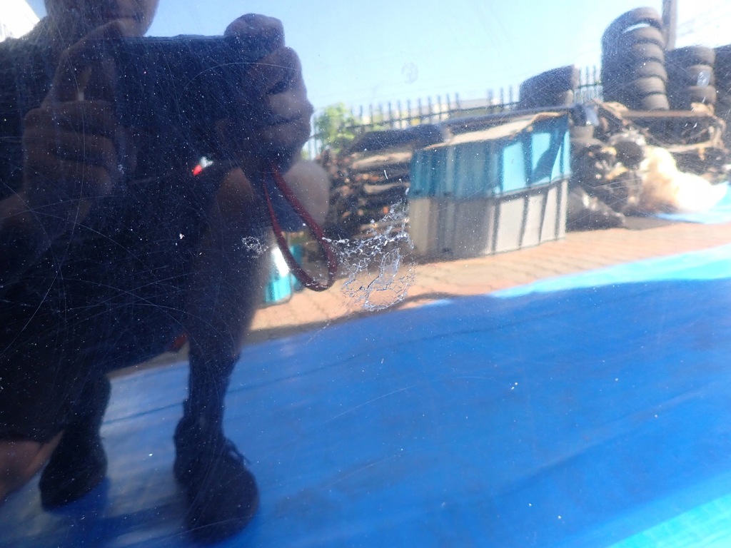 фото №5, Nissan micra k13 10-13 капот кришка двигуна kh3g