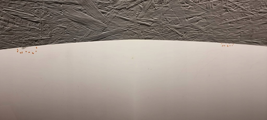 фото №5, Капот opel grandland x '17-'21