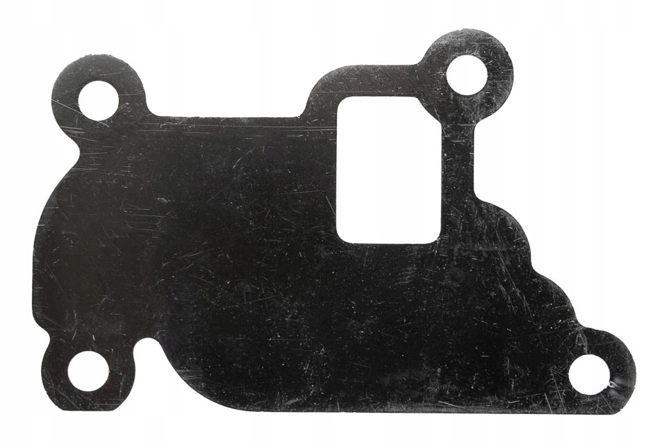 фото №3, Заглушка клапана egr