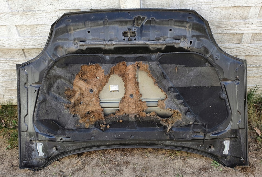 фото №5, Капот крышка kia rio i lift