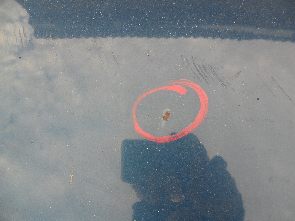 фото №9, Nissan terrano ii r20 1998- капот