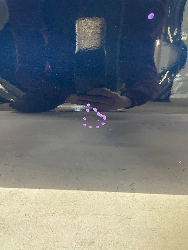 фото №6, Дверь передние левая suzuki sx4 s cross