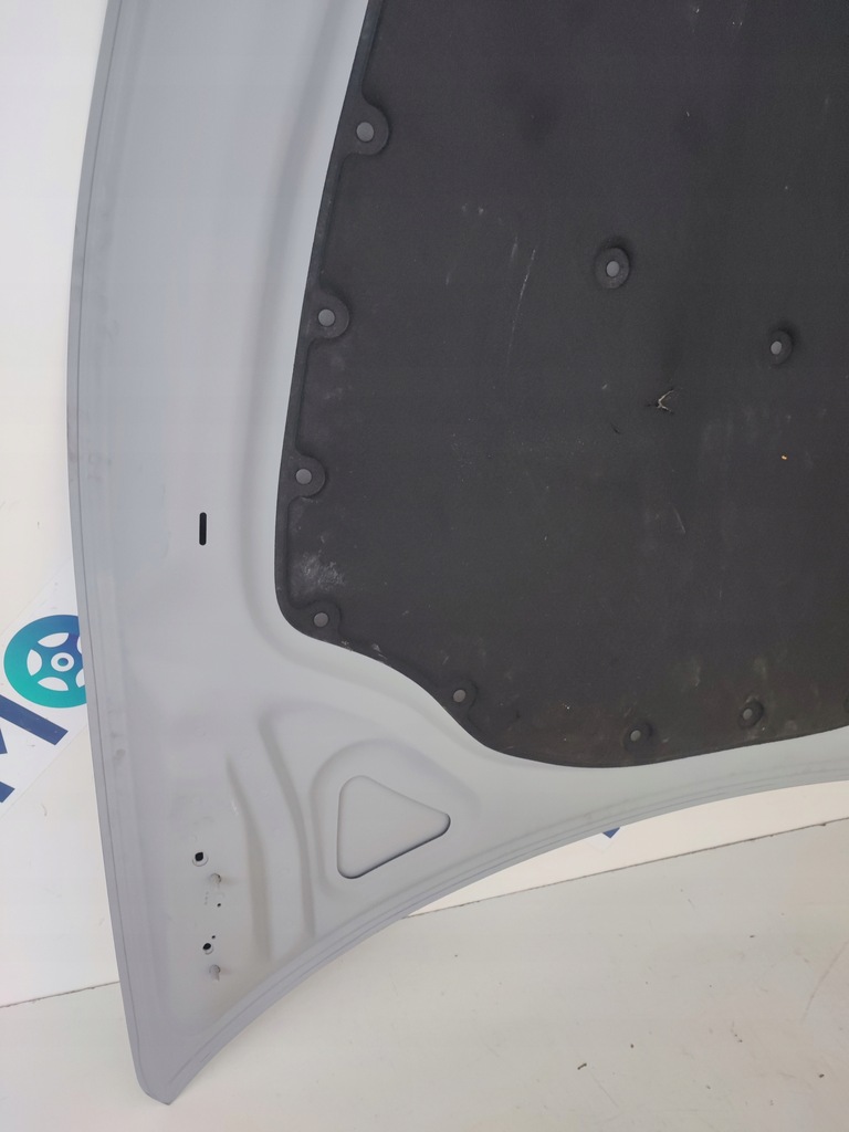 фото №11, Капот ferrari roma f169