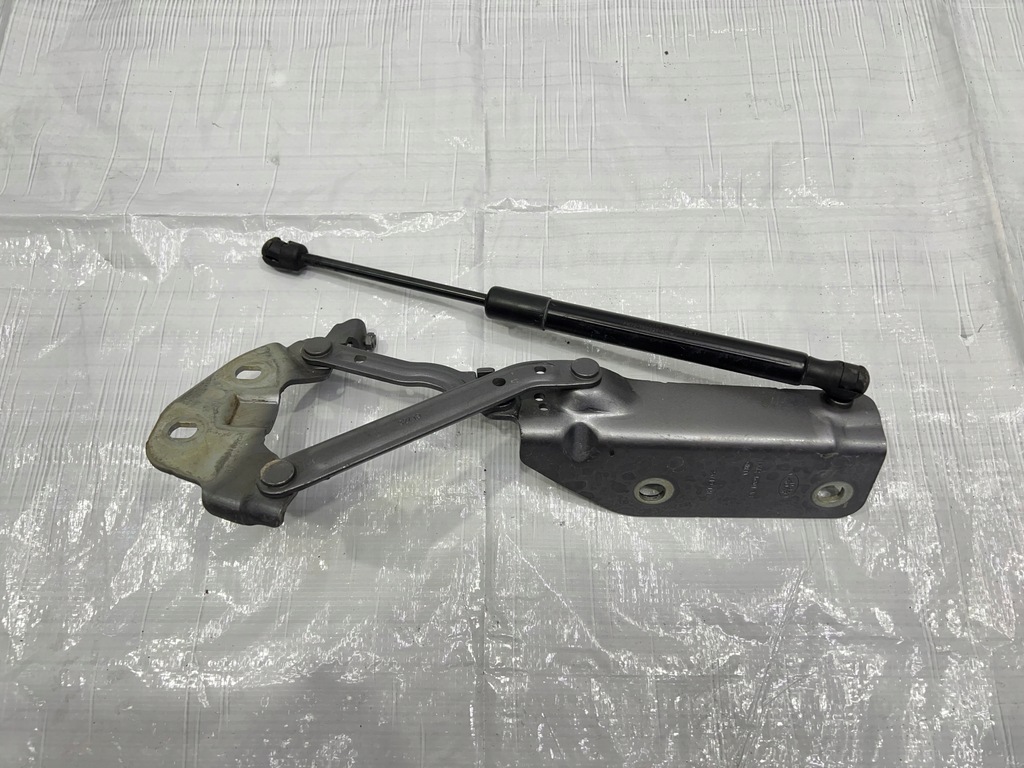 фото №1, Discovery sport lift l550 петля капот лівий