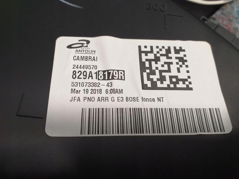 фото №6, Обшивка обивка дверь левый задняя renault scenic iv