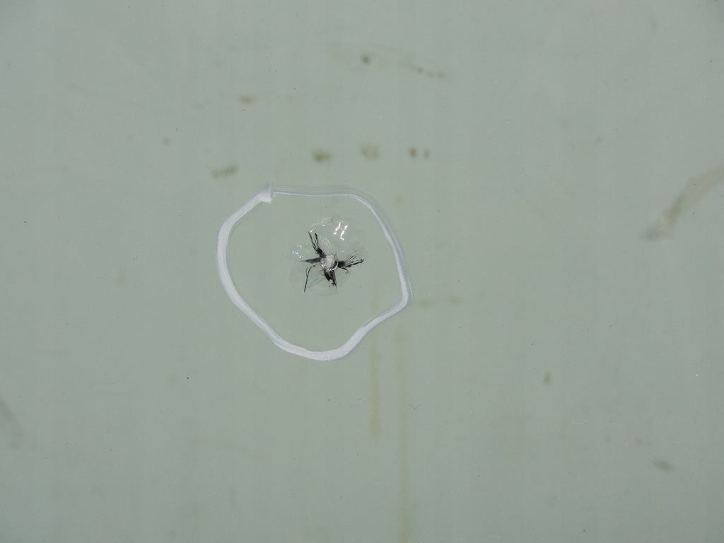 фото №11, Скло лобове передня skoda octavia iii 2015r