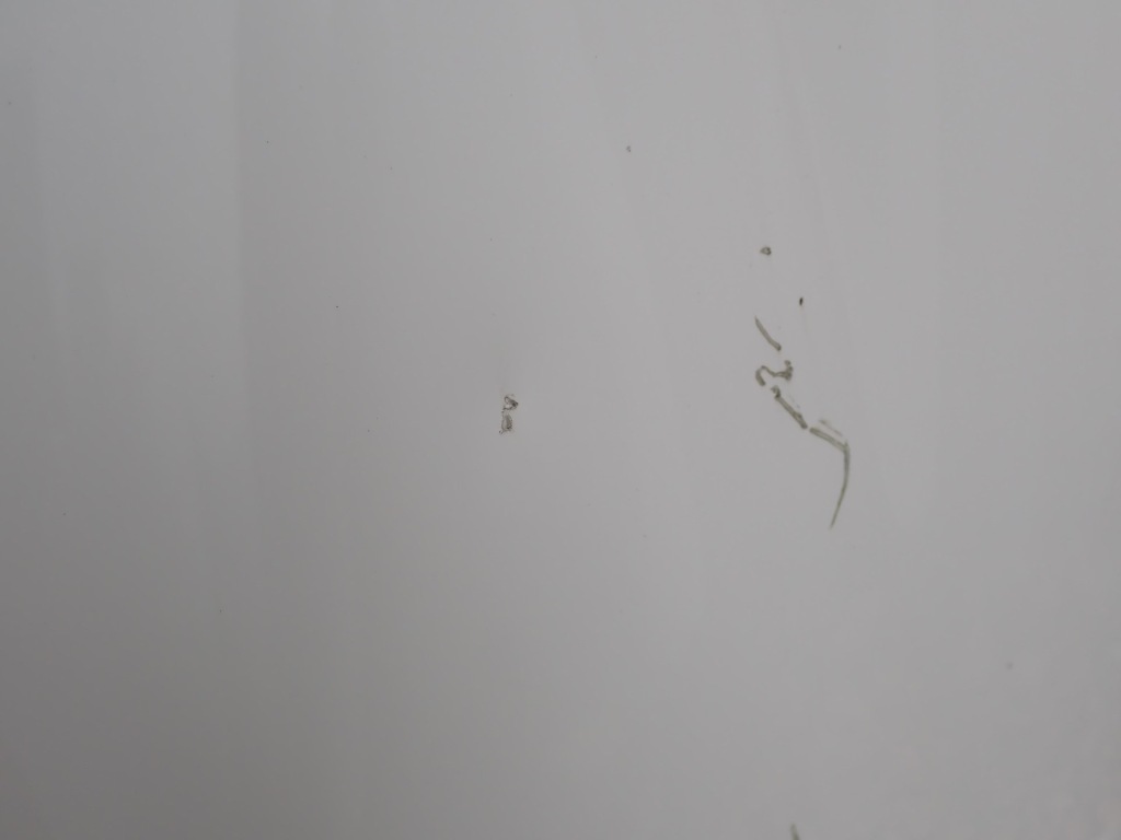 Капот крышка двигателя skoda octavia 3 3 5e рестайлинг  2017-2020r с Разборки