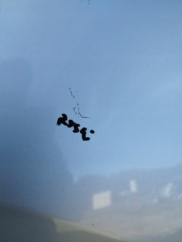 фото №9, Крыло левый перед mercedes r-klasa 251 w251 2005-2010 оригинал цвет c775