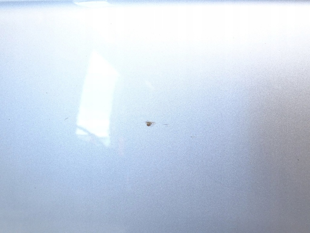 фото №11, Двері ліва лівий задня задні seat exeo 3r kombi ls7y