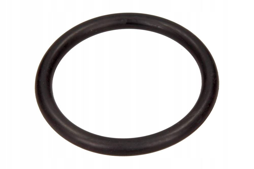 фото №1, Ущільнювач дросель великий do renault c