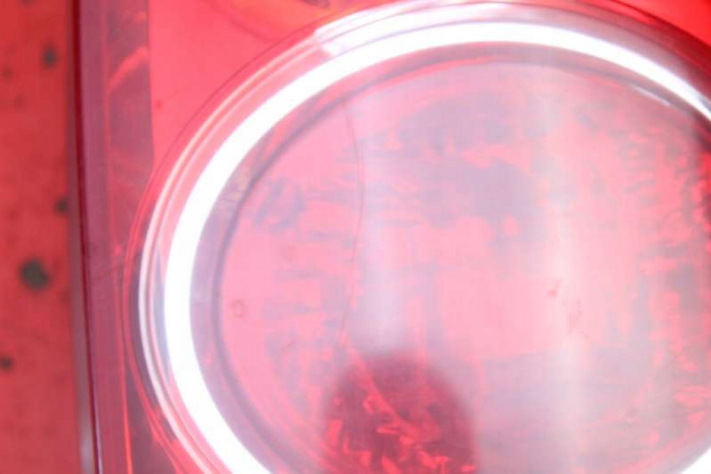 фото №8, Лампа правая задняя задняя 220-61961 mazda premacy 1 i cp lift 01-05