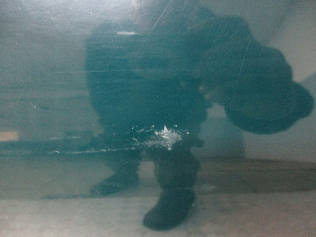 фото №5, Дверь правый перед skoda octavia 5550